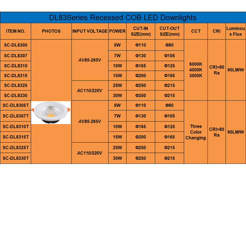 LED Down Light