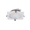 Recessed COB LED Down Light