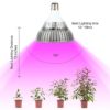 Grow lamp for indoor plants