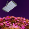 LED Grow Light Full Spectrum 300W