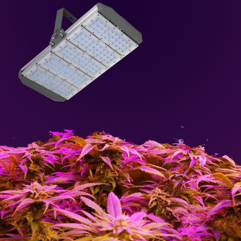LED Grow Light Full Spectrum 300W,ip65 outdoor high bay led grow fixture