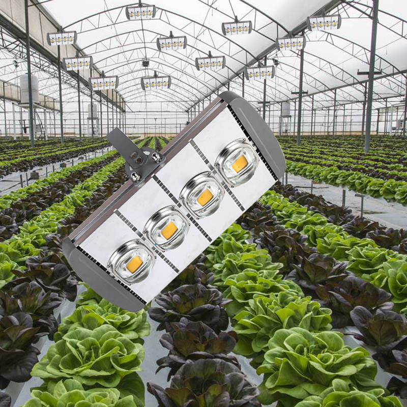 Integrated Multichip Led Grow Light, Outdoor Grow Lights