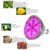 led grow bulb full spectrum