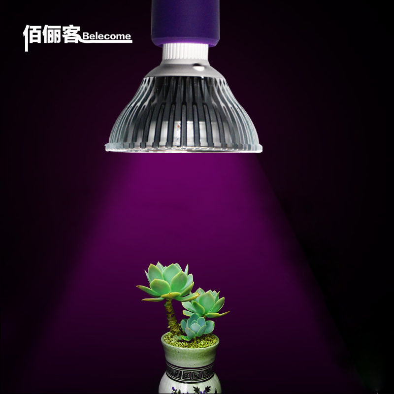 led grow lamp for indoor plants