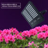 led grow light full spectrum uv