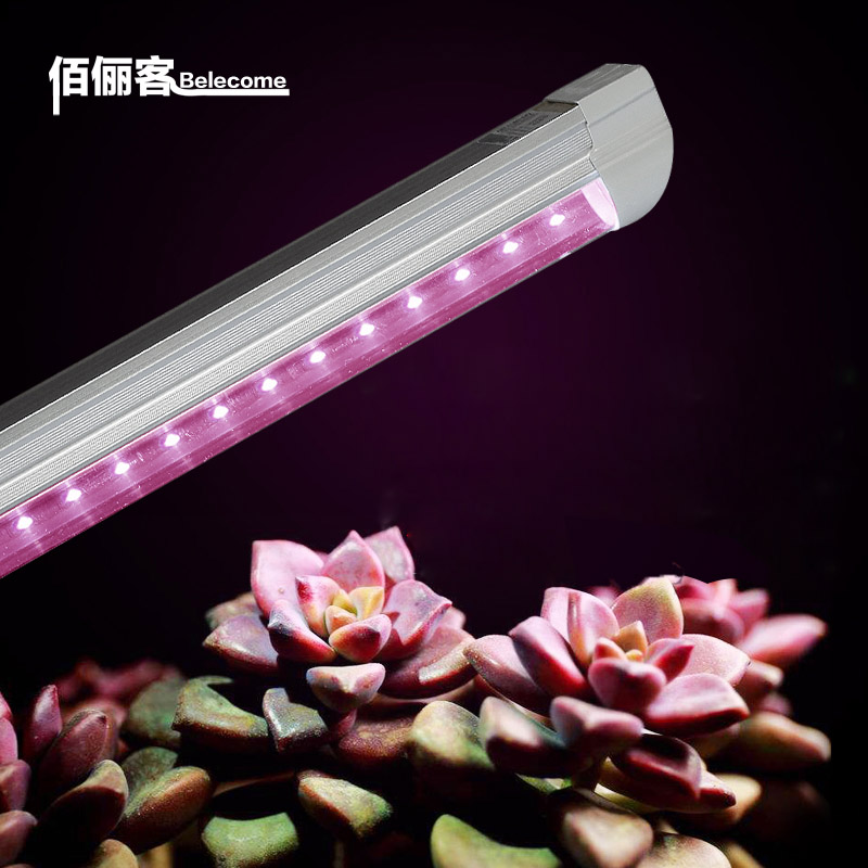 led grow light