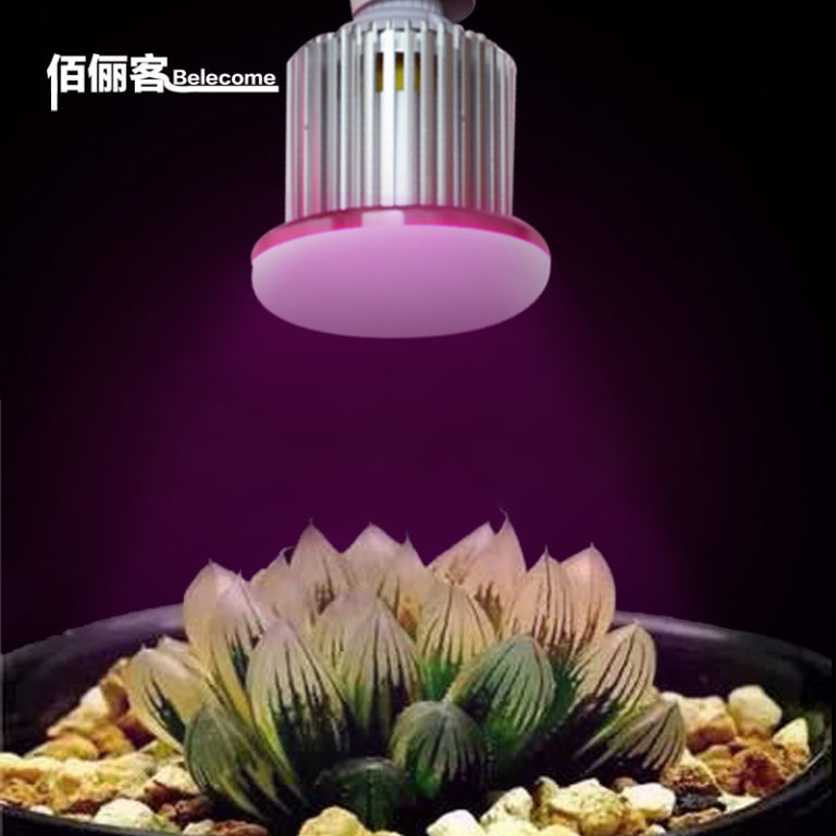 Doc Brown Blue Plant Max LED Grow Light Bulb – 470nm, 3W, E27 Socket, USA Certified