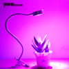 led plant light full spectrum