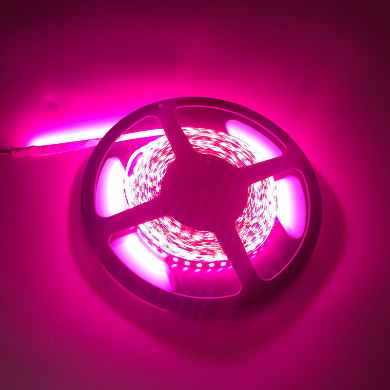 led grow light bulb