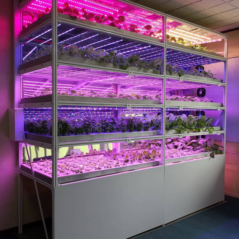 Full Spectrum White LED Grow Light Strip 36W 240led/m