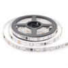 5050 Magic LED Strip