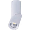 downlights dimmable