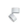 led downlights adjustable