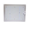 Quantum Board led Grow Light