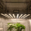 led grow light 600w