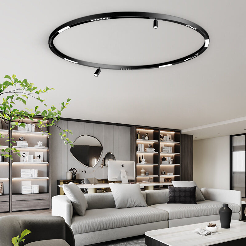 Circle Magnetic Track Lighting